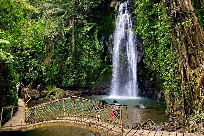 Ubud Private Tour: Monkey Forest, Rice Terrace, Temple, Waterfall - Lunch at Tebasari Resto