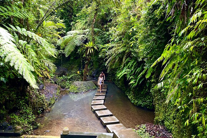 Ubud Private Tour: Monkey Forest, Rice Terrace, Temple, Waterfall - Ulu Petanu Waterfall: bring a change of clothes
