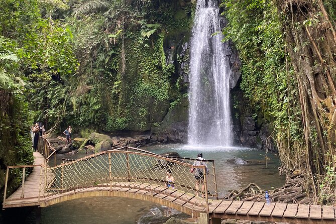 Ubud Private Tour: Monkey Forest, Rice Terrace, Temple, Waterfall - The private car is the real convenience