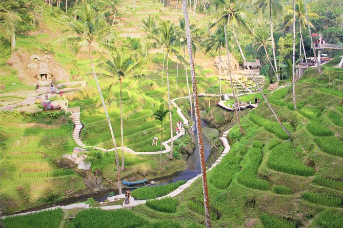Ubud Private Tour : Ubud Temple and Authentic of Ubud - Tegenungan Waterfall for a quick nature break