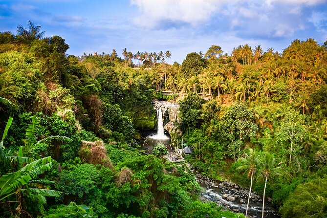 Ubud private tours - The $40 price and what it covers