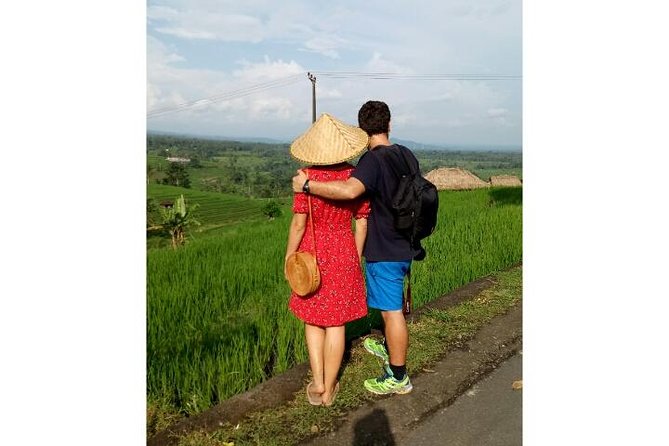 Ubud Tour Monkey Forest, Rice Terrace, Swing, Temple, Waterfall - Monkey Forest: temples beneath the macaque canopy