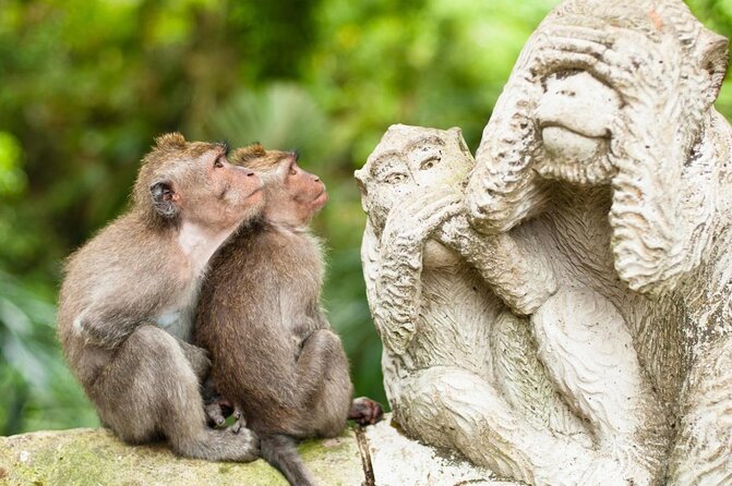 Ubud Tour - Ubud Highlight - Private Tour All inclusive - Key points to know before you book