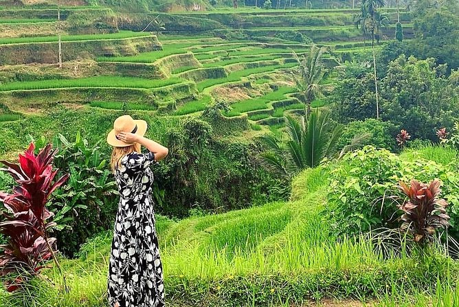 Ubud Tour - Ubud Highlight - Private Tour All inclusive - Tegenungan Waterfall starts the day with noise and spray
