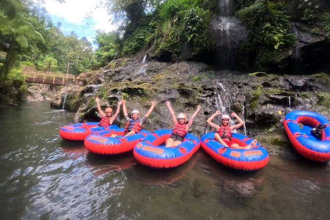 Ubud Tubing Adventure Holy Spring Temple Private Guided Tour - Coffee and village views in Tampaksiring