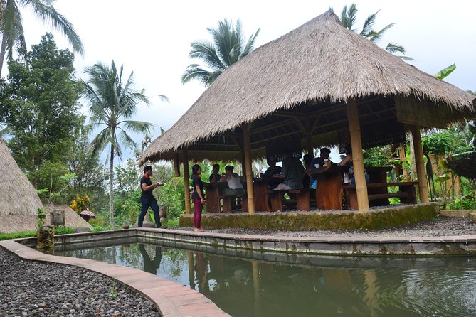 Ubud Village Sightseeing, Famous Paddy Field And Ubud Waterfall - Tegenungan Waterfall: the active finish