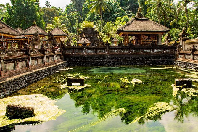 Ubud Village Sightseeing, Famous Paddy Field And Ubud Waterfall - The driver can shape the experience