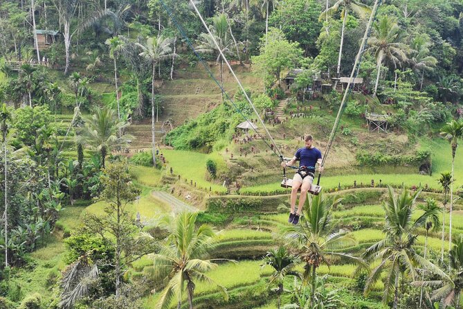 Ubud Village, Tegalalang Rice Terrace Swing, Tirta Empul Temple and Waterfafall - Tirta Empul and Bali’s sacred spring water
