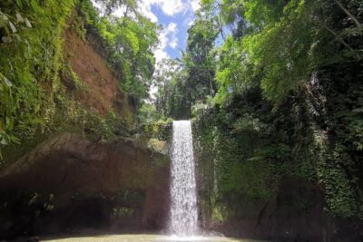 Ubud Village, Tegalalang Rice Terrace Swing, Tirta Empul Temple and Waterfafall