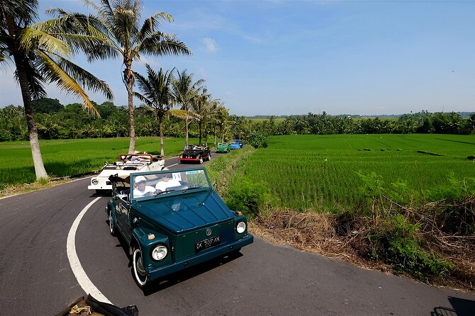 Ubud VW Safari Bali Tour - Volkswagen Classic Car Trip - Key points to know before booking