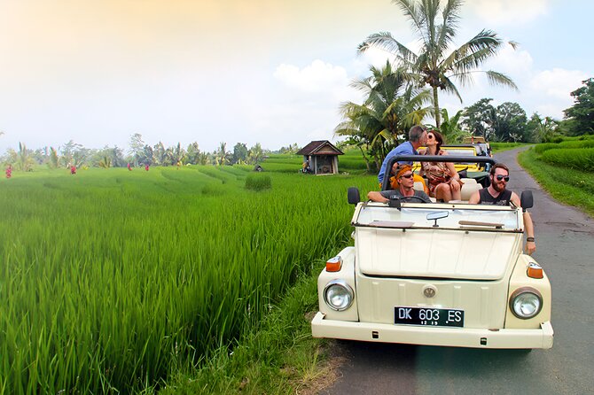 Ubud VW Safari Bali Tour - Volkswagen Classic Car Trip - The Monkey Forest requires attention