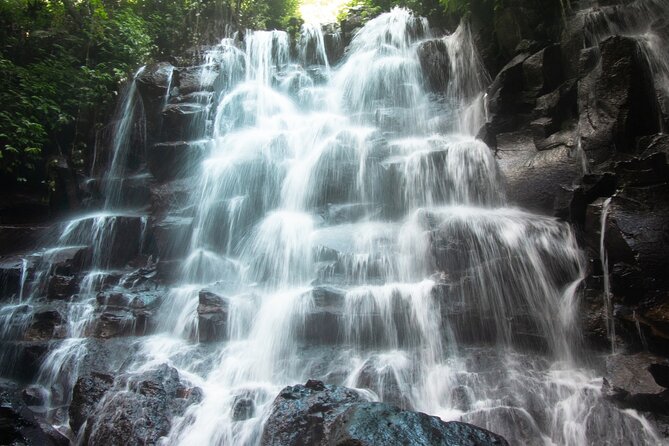 Ubud Waterfalls and Rice Terraces Private Day Tour - What this private Ubud day actually feels like