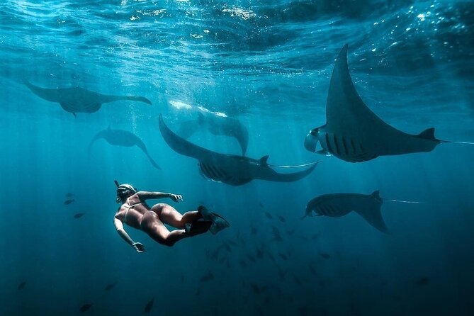 VIP Private Boat to Nusa Penida: Snorkeling with Mantas + Land Tour Adventure - Crystal Bay for a calmer island stop