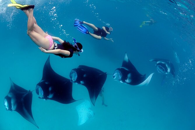VIP Private Boat to Nusa Penida: Snorkeling with Mantas + Land Tour Adventure - Who will enjoy this day most