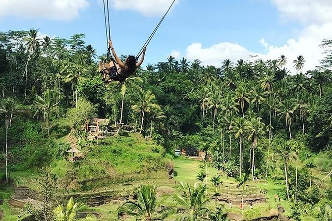 Water Rafting adventure with Jungle Swing & rice terraces - A full day from Seminyak to the Ayung River