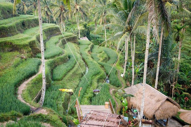 Water Rafting adventure with Jungle Swing & rice terraces - Rafting 10 to 12 kilometers on the Ayung River