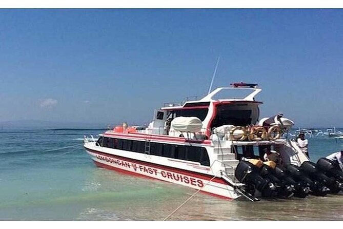 West Nusa Penida Full-Day Private Tour - Kelingking Beach: the big view comes first