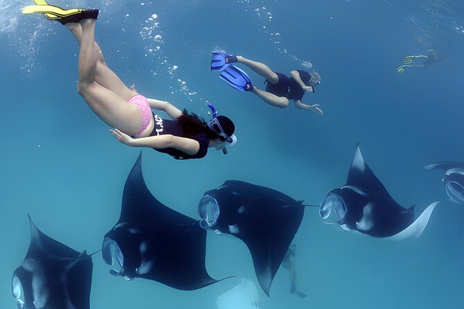 West Nusa Penida Island Snorkeling Tour - From Bali Island - Lunch and the shift from sea to road
