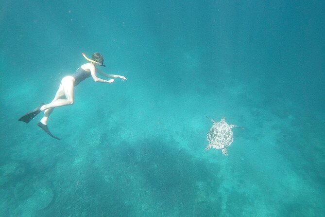 West Nusa Penida With Snorkeling Private Guided Tour - From Seminyak hotel to Nusa Penida water