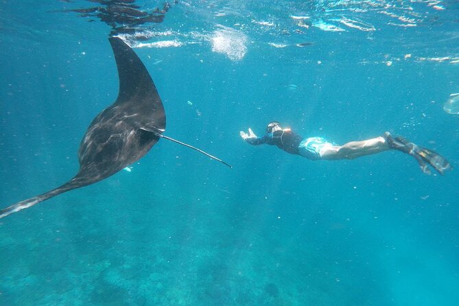 West Nusa Penida With Snorkeling Private Guided Tour - Gamat Bay and Crystal Bay: coral, fish, and changing conditions