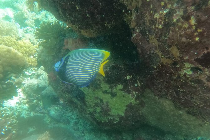 West Nusa Penida With Snorkeling Private Guided Tour - Angels Billabong: a natural pool with a safety warning