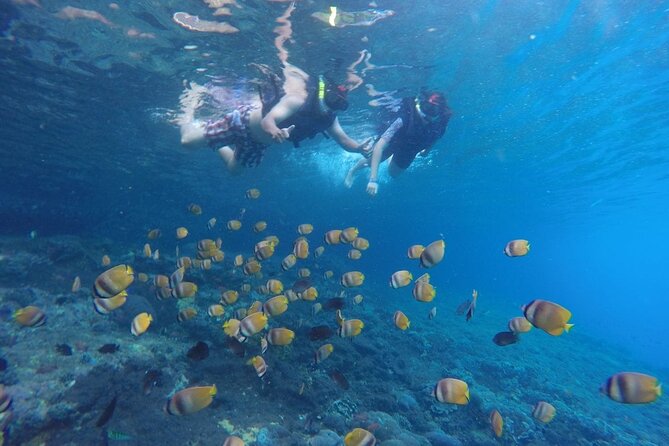 West Nusa Penida With Snorkeling Private Guided Tour - Manta Point: the days biggest wildlife chance