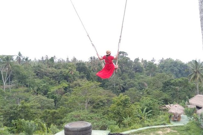 Wonderful 3 Days of Bali Private Guided Tour All Inclusive - Who will get the most from this three-day route?